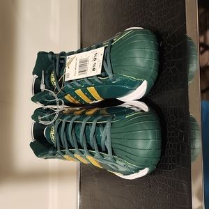 Adidas LeBron James Pro Model 2G